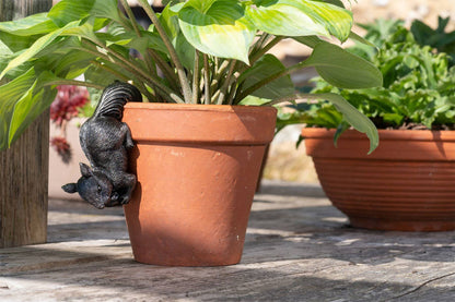 Red Squirrel Plant Pot Hanger