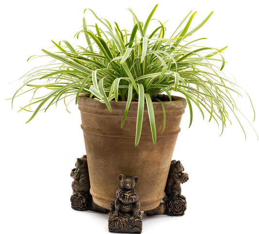 Koala Bear Plant Pot Feet - Set of 3
