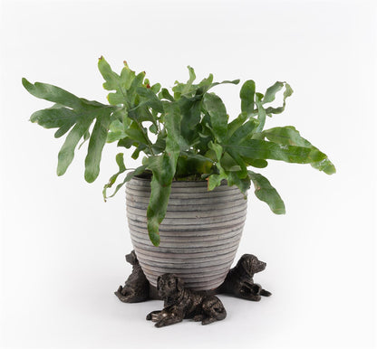 Resting Labrador Plant Pot Feet - Set of 3