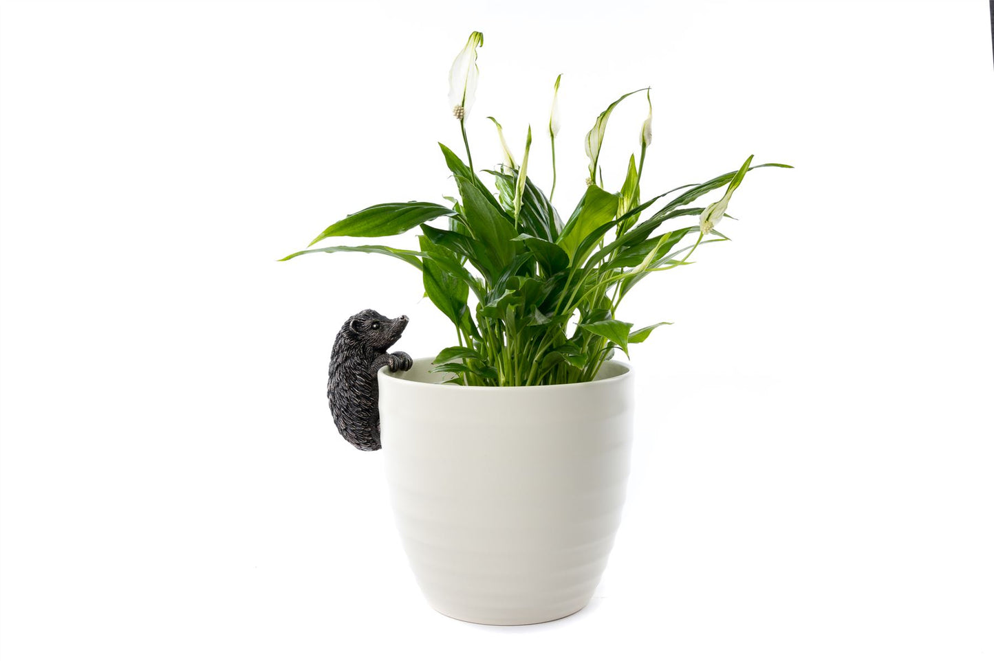 Hedgehog Plant Pot Hanger