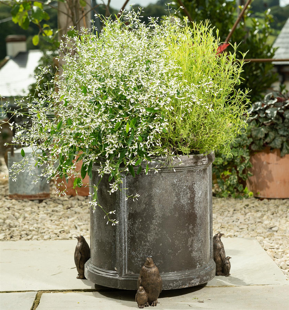 Emperor Penguin Plant Pot Feet - Set of 3