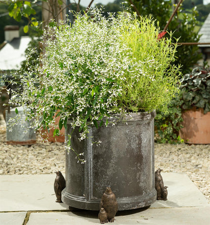 Emperor Penguin Plant Pot Feet - Set of 3