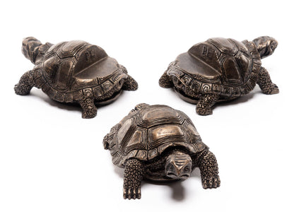 Tortoise Plant Pot Feet - Set of 3