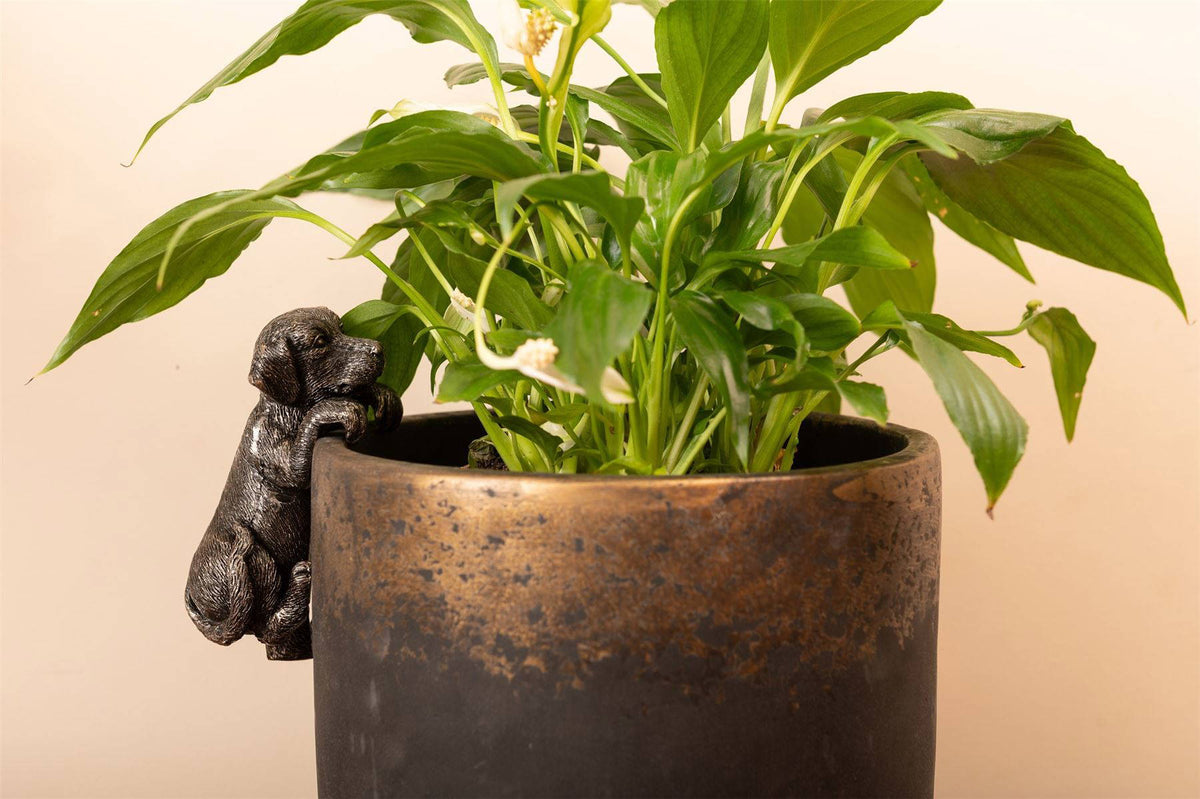 Labrador Plant Pot Hanger