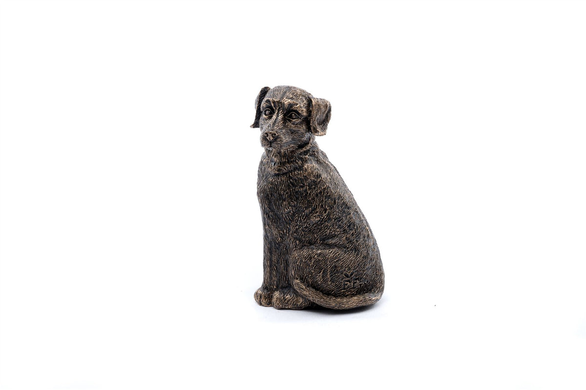 Labrador Plant Drip Feeder Cover & Feed
