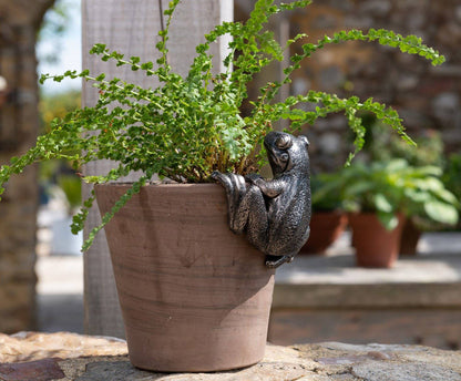 Frog Plant Pot Hanger
