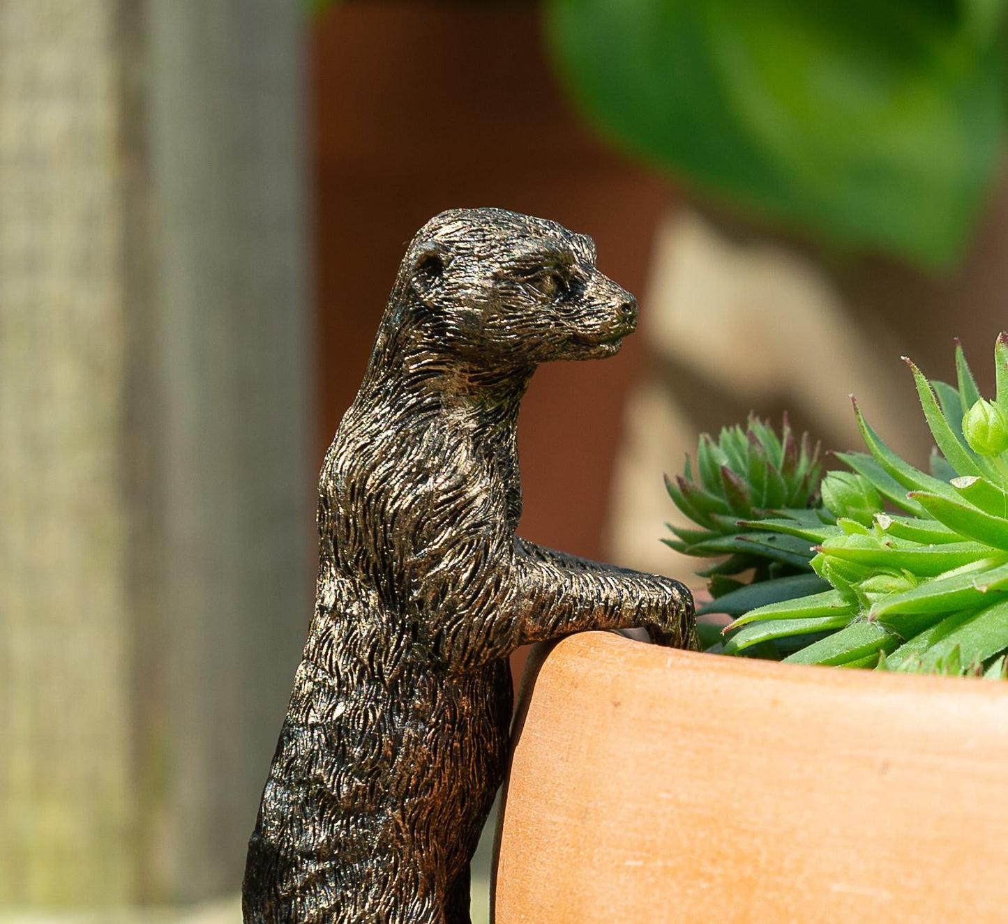 Meerkat Plant Pot Hanger