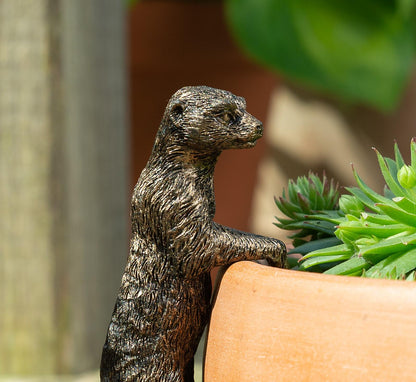 Meerkat Plant Pot Hanger