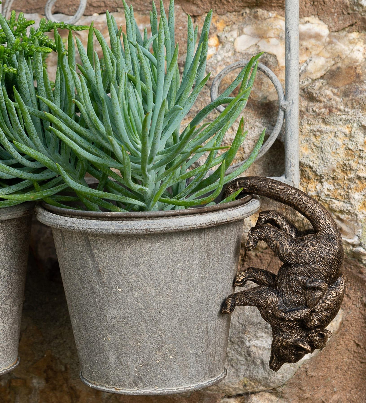 Lemur and Pup Plant Pot Hanger