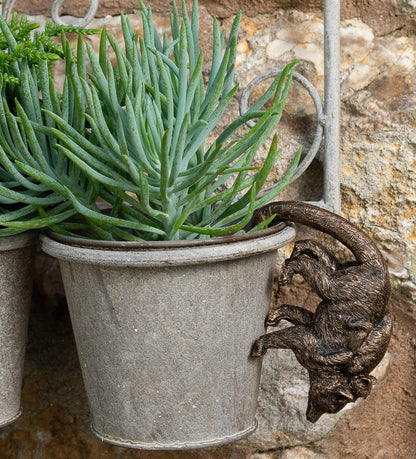 Lemur and Pup Plant Pot Hanger