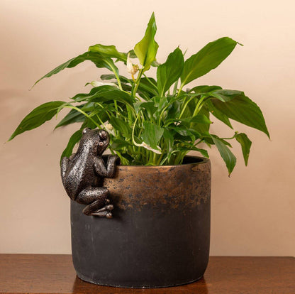 Frog Plant Pot Hanger