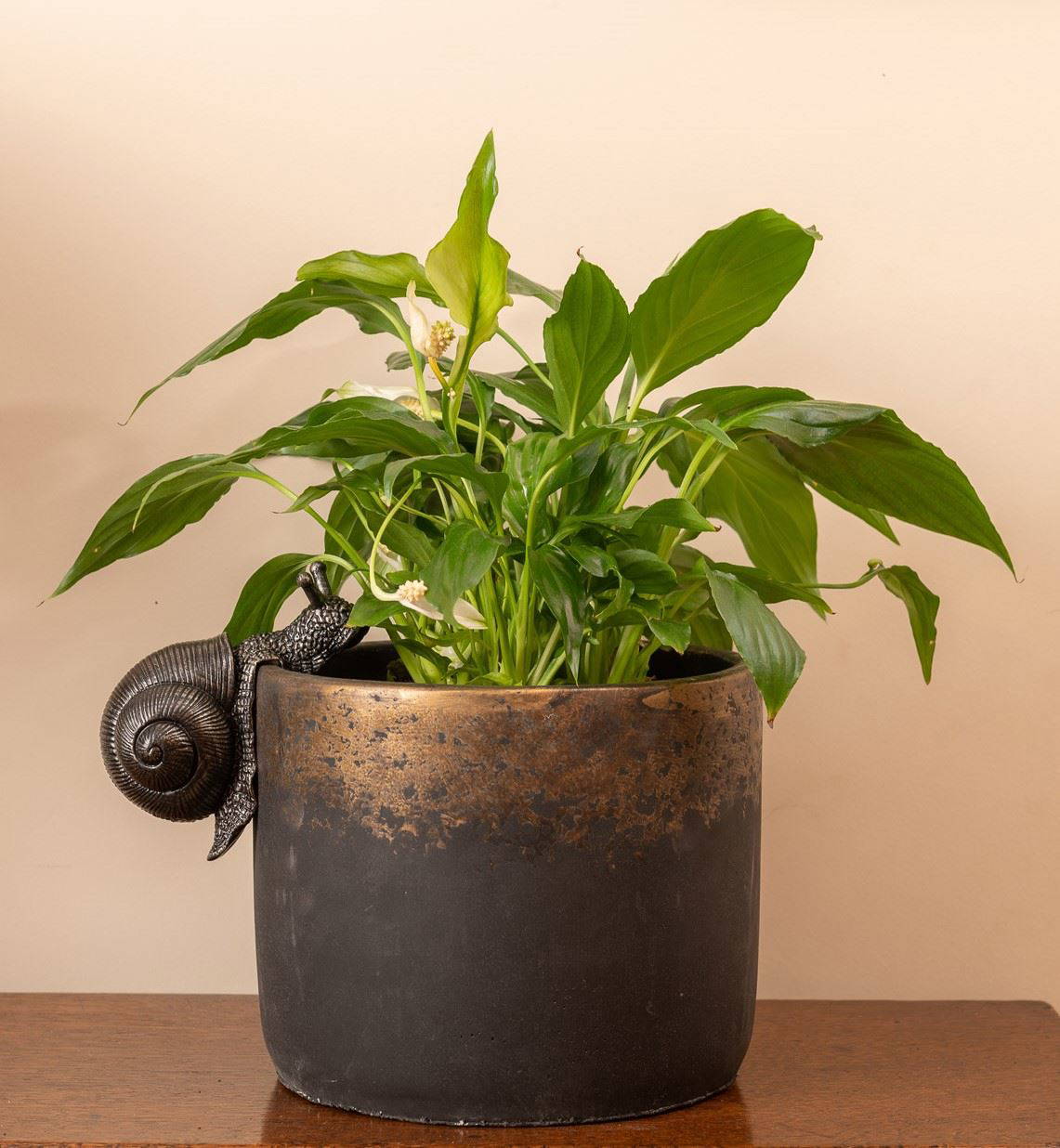 Snail Plant Pot Hanger
