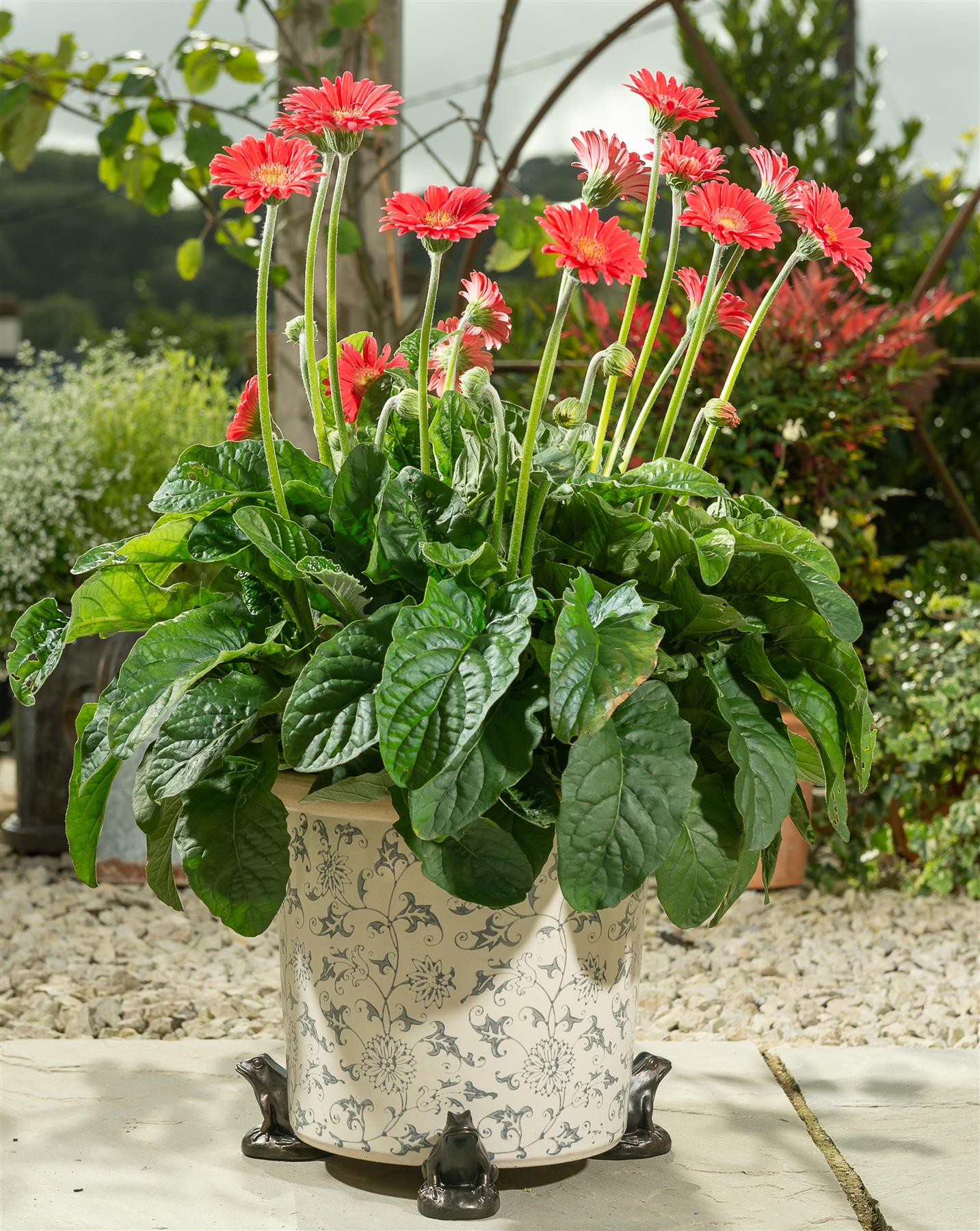 Frog Plant Pot Feet - Set of 3