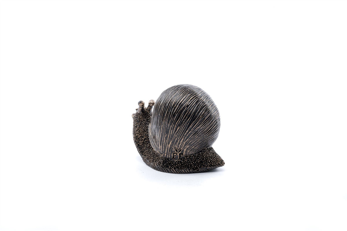 Snail Plant Drip Feeder Cover & Feed