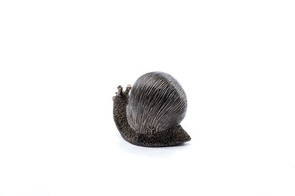 Snail Plant Drip Feeder Cover & Feed