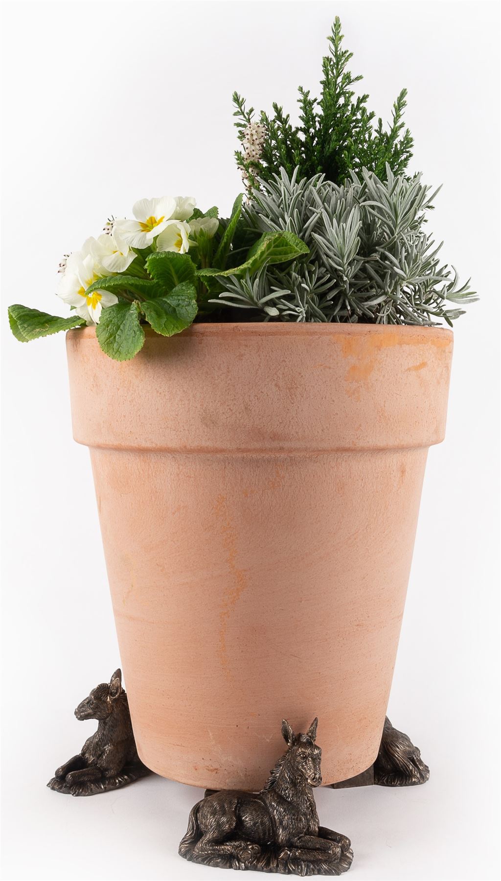 Donkey Foal Plant Pot Feet - Set of 3