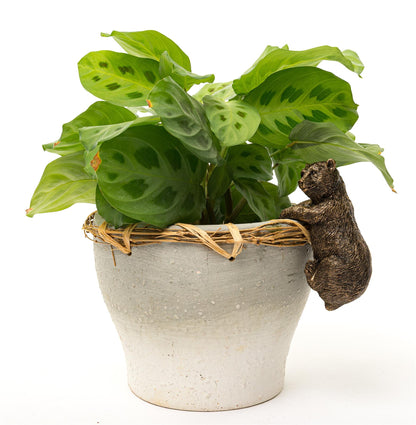 Brown Bear Plant Pot Hanger