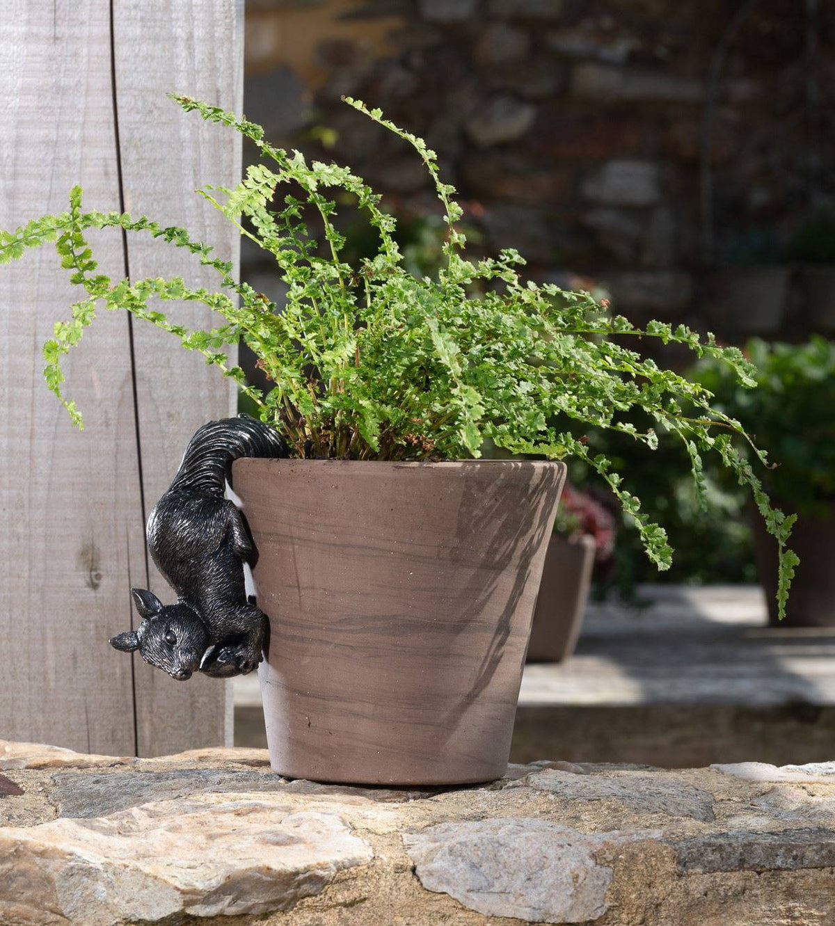 Red Squirrel Plant Pot Hanger