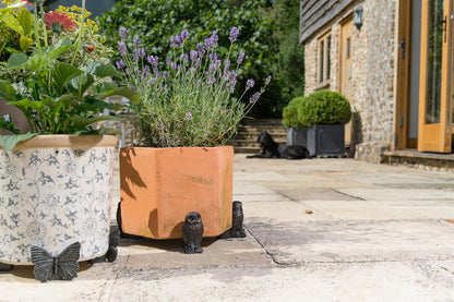 Tawny Owl Plant Pot Feet - Set of 3