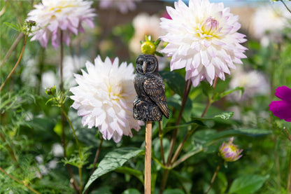Barn Owl Cane or Stake Topper