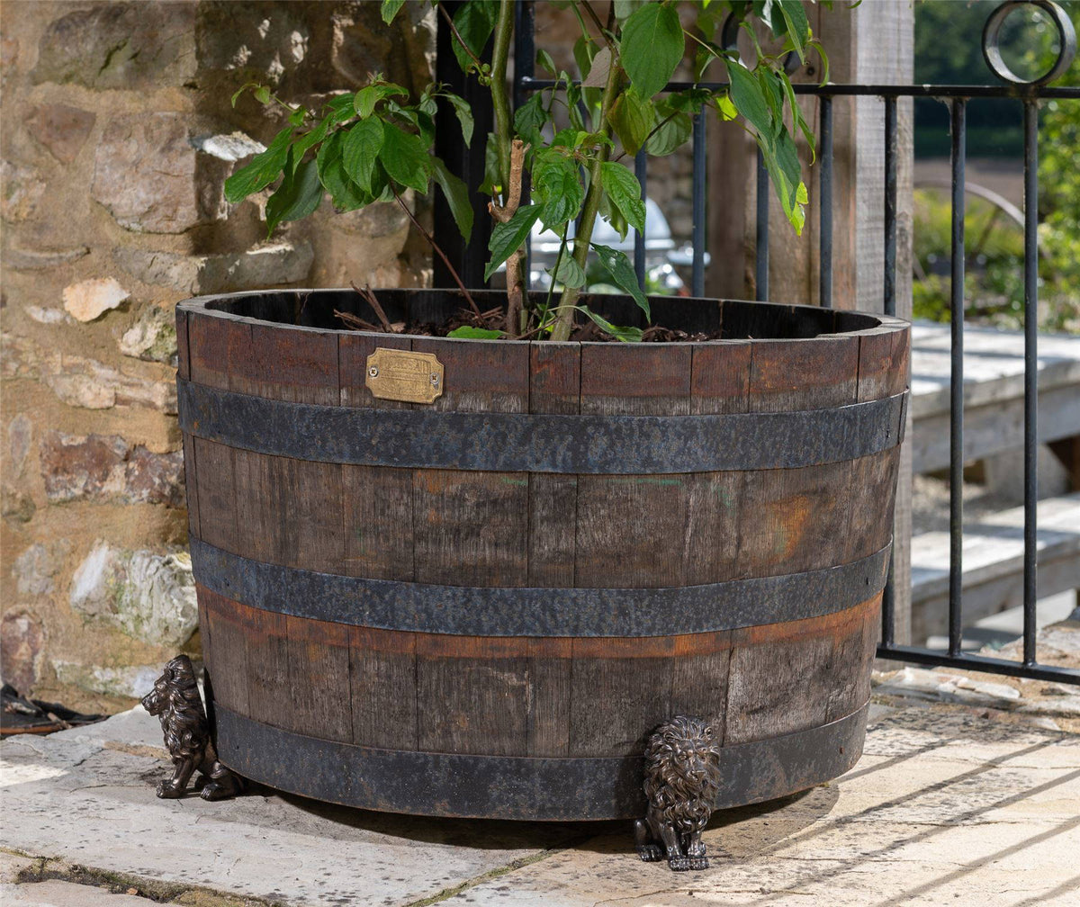 Lion Plant Pot Feet - Set of 3