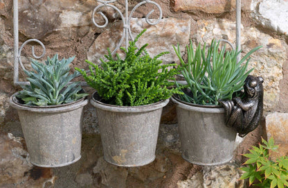 Frog Plant Pot Hanger