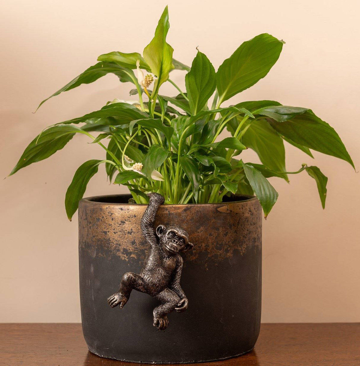 Chimpanzee Plant Pot Hanger