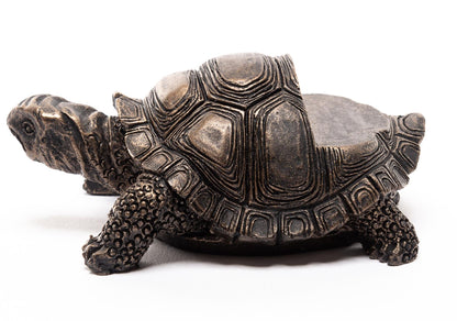 Tortoise Plant Pot Feet - Set of 3