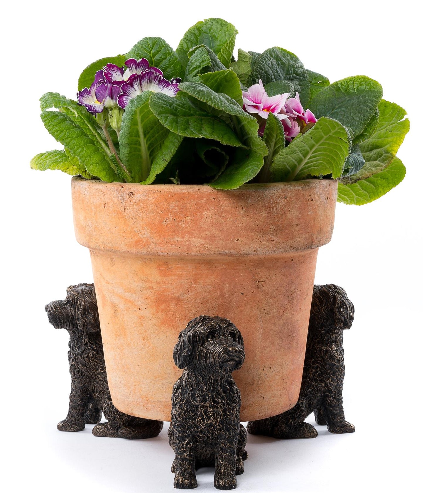 Schnauzer Plant Pot Feet - Set of 3