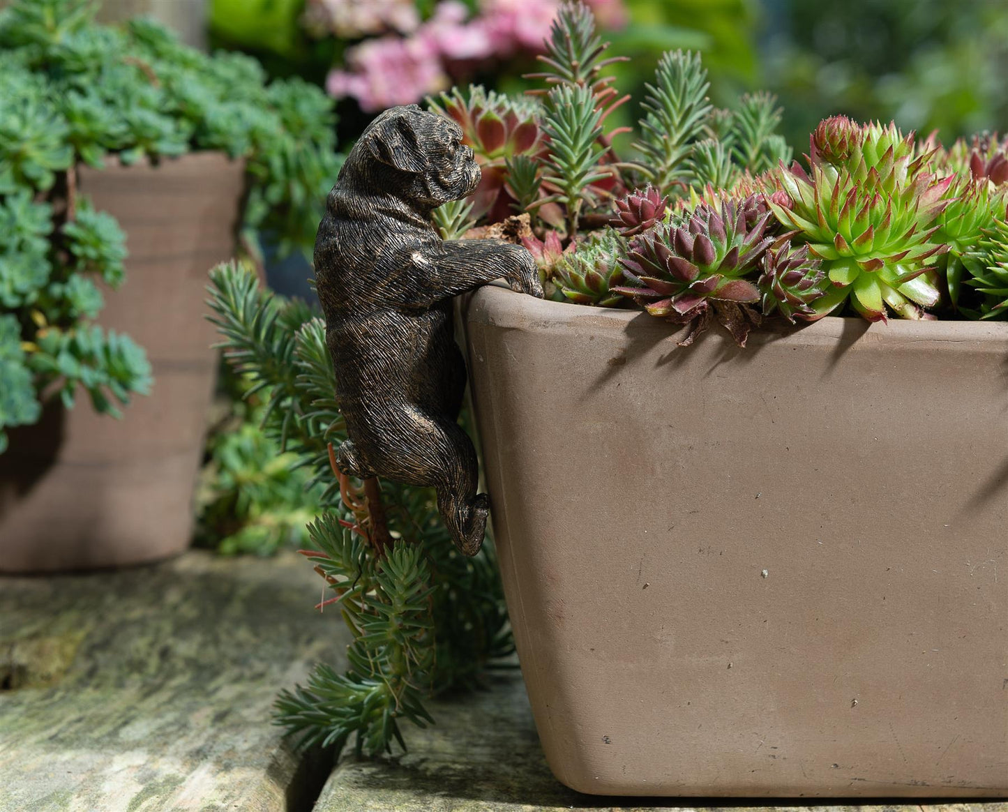 Pug Plant Pot Hanger