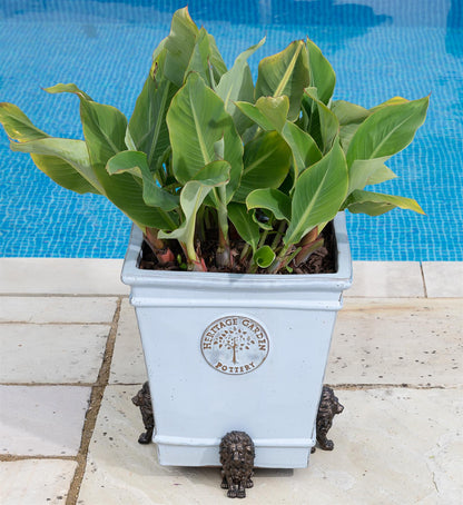 Lion Plant Pot Feet - Set of 3