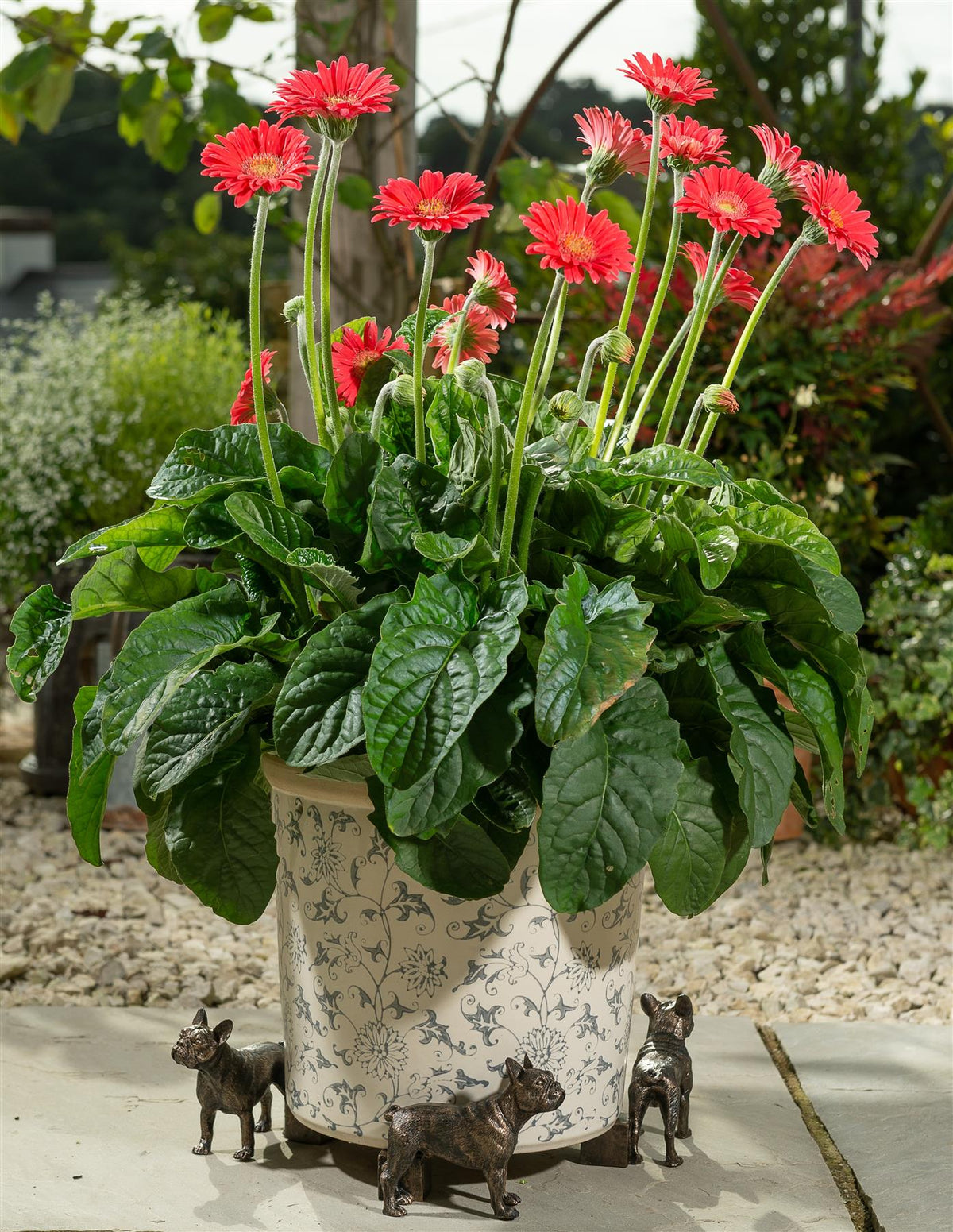 French Bulldog Plant Pot Feet - Set of 3