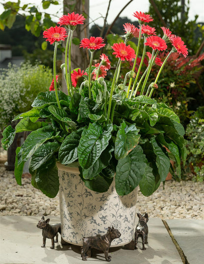 French Bulldog Plant Pot Feet - Set of 3