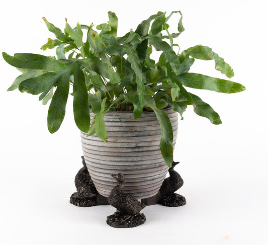 Aylesbury Duck Plant Pot Feet - Set of 3