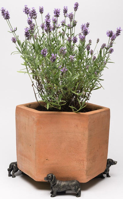 Dachshund Plant Pot Feet - Set of 3