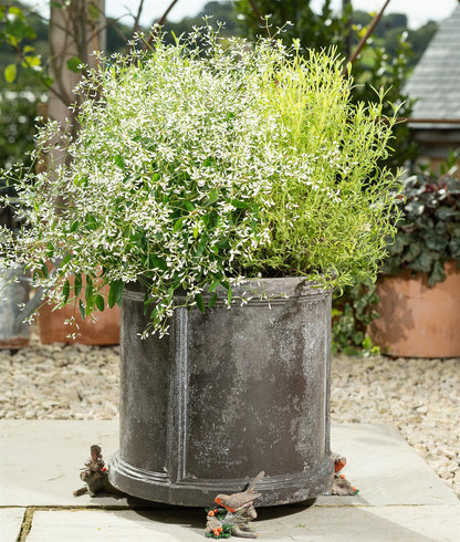 Robin Plant Pot Feet - Set of 3