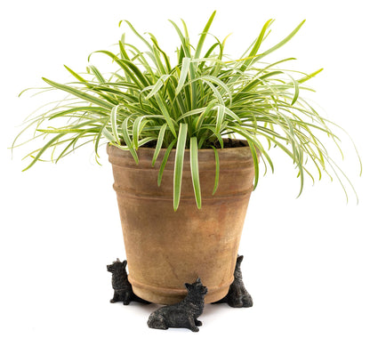 Corgi Plant Pot Feet - Set of 3