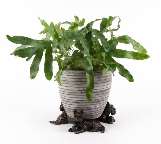 Scottish Terrier Plant Pot Feet - Set of 3