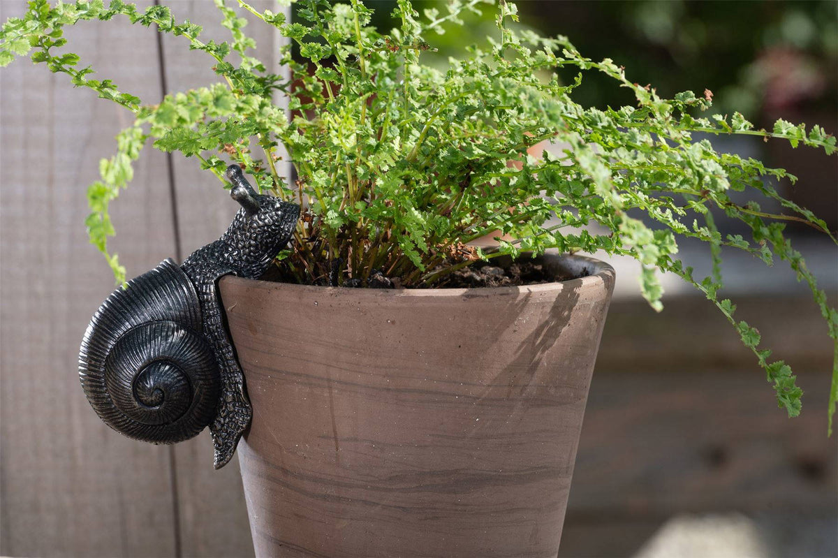Snail Plant Pot Hanger