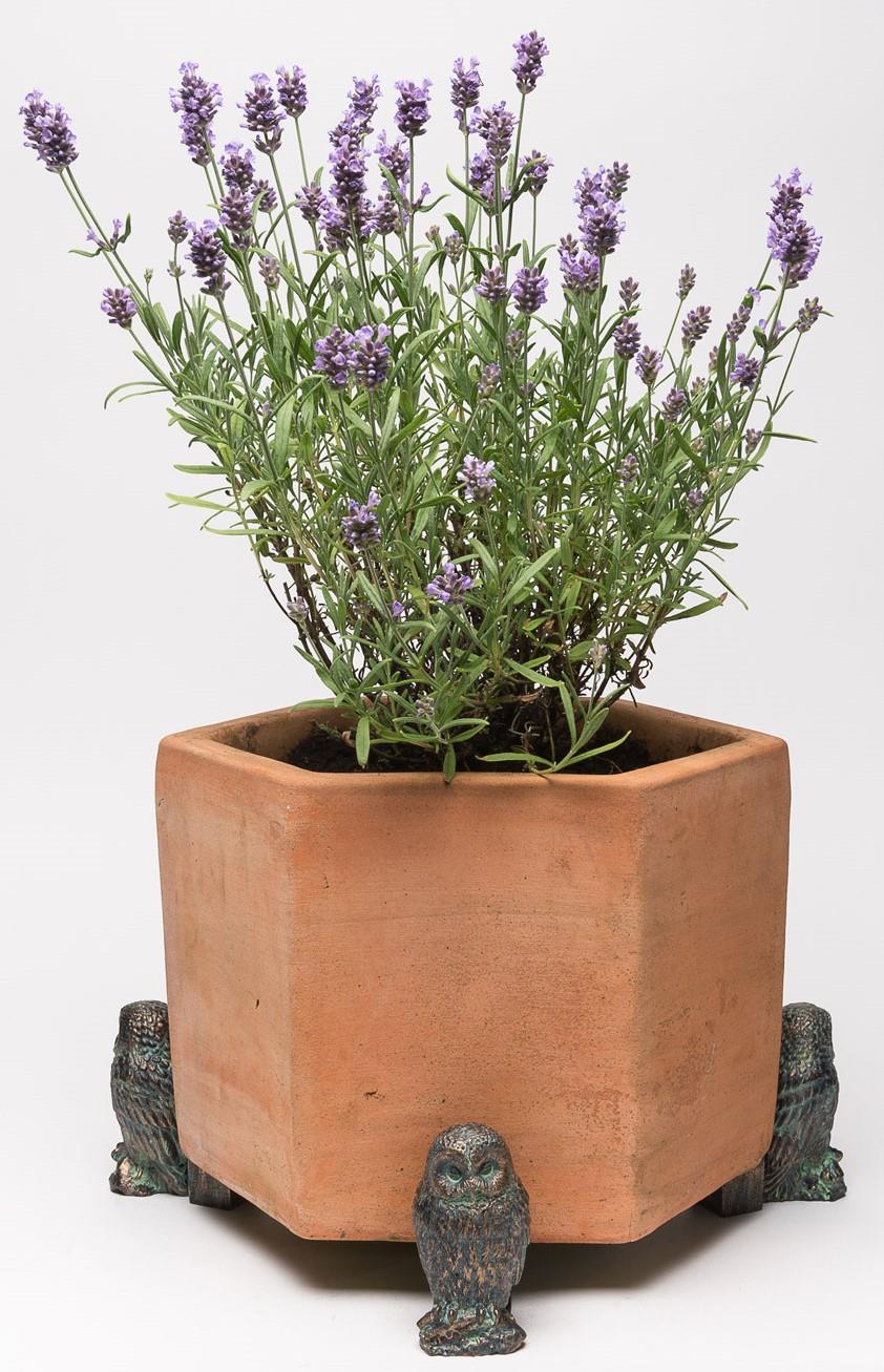 Tawny Owl Plant Pot Feet - Set of 3