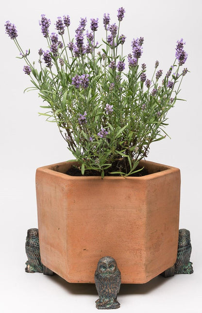 Tawny Owl Plant Pot Feet - Set of 3