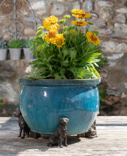 Border Terrier Plant Pot Feet - Set of 3