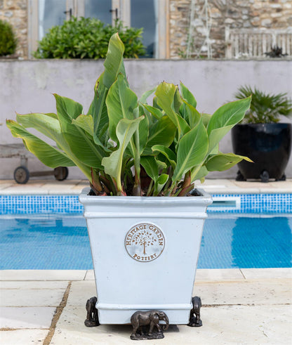 Elephant Plant Pot Feet - Set of 3