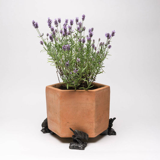 Blue Tit On Log Plant Pot Feet - Set of 3