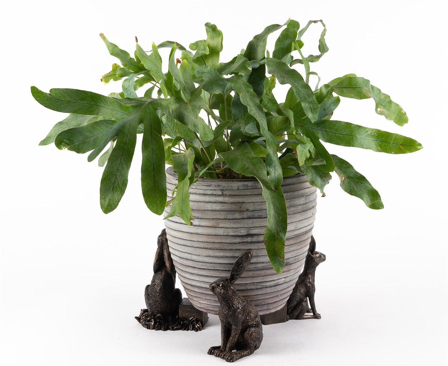 Drove Of Hares Plant Pot Feet - Set of 3 - Moongazing, Sitting and Vigilant Hares