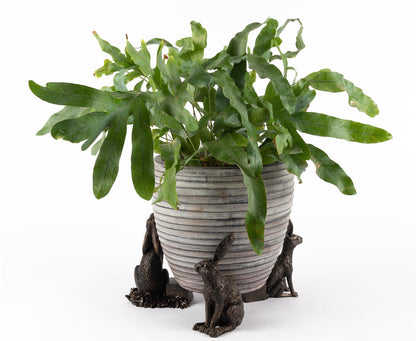 Drove Of Hares Plant Pot Feet - Set of 3 - Moongazing, Sitting and Vigilant Hares