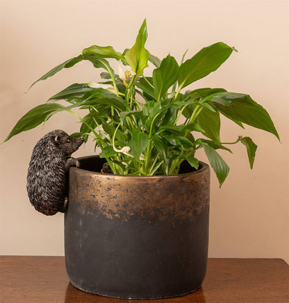 Hedgehog Plant Pot Hanger