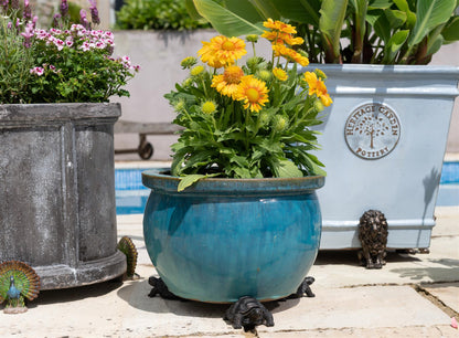 Tortoise Plant Pot Feet - Set of 3