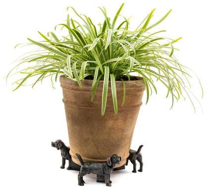Beagle Plant Pot Feet - Set of 3