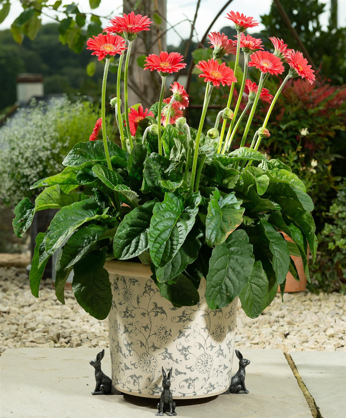 Large Sitting Hare Plant Pot Feet - Set of 3